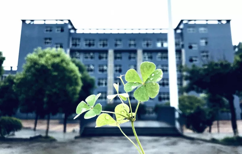 平昌通用職業(yè)技術(shù)學校